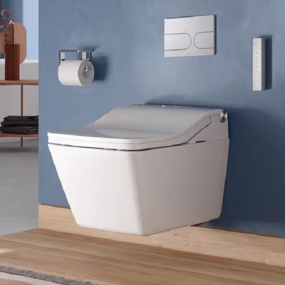 Bồn cầu treo tường Toto CW522A-WH172A-TC512A-MB171M#SS - Ảnh 7