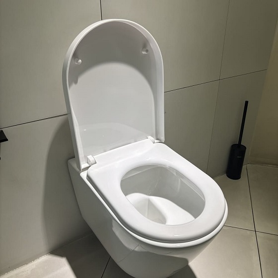 Bàn cầu treo tường Caesar CPT1505 - Ảnh 6