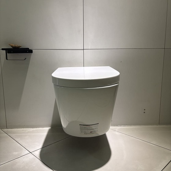 Bàn cầu treo tường Caesar CPT1505 - Ảnh 12