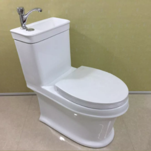 Bồn cầu nghệ thuật kết hợp chậu lavabo rửa mặt Miken AC-989VN