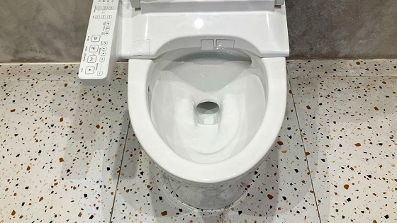 Bồn cầu 1 khối kết hợp nắp rửa điện tử WASHLET dòng S2 TOTO MS188VKW24-T53P100VR - Ảnh 7
