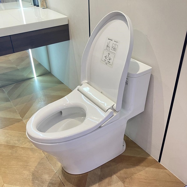 Bồn cầu 1 khối nắp rửa cơ Toto MS857DE4 - Ảnh 7