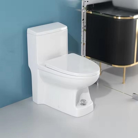 Bồn cầu liền khối xả nước bằng chân Miken DX-623 - Ảnh 2