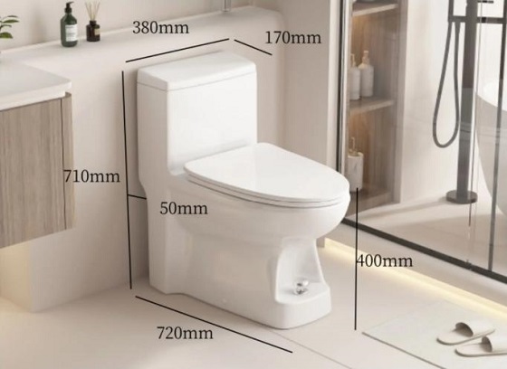 Bồn cầu liền khối xả nước bằng chân Miken DX-623 - Ảnh 3