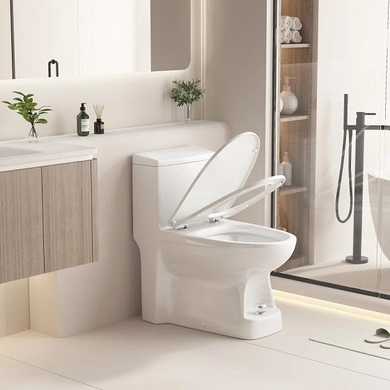 Bồn cầu liền khối xả nước bằng chân Miken DX-623 - Ảnh 5