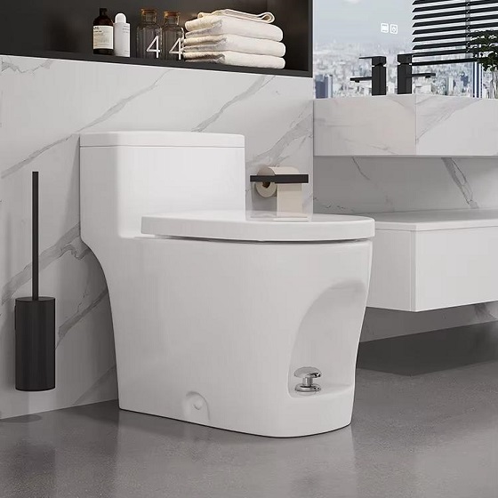 Bồn cầu liền khối xả nước bằng chân Miken DX-625 - Ảnh 5