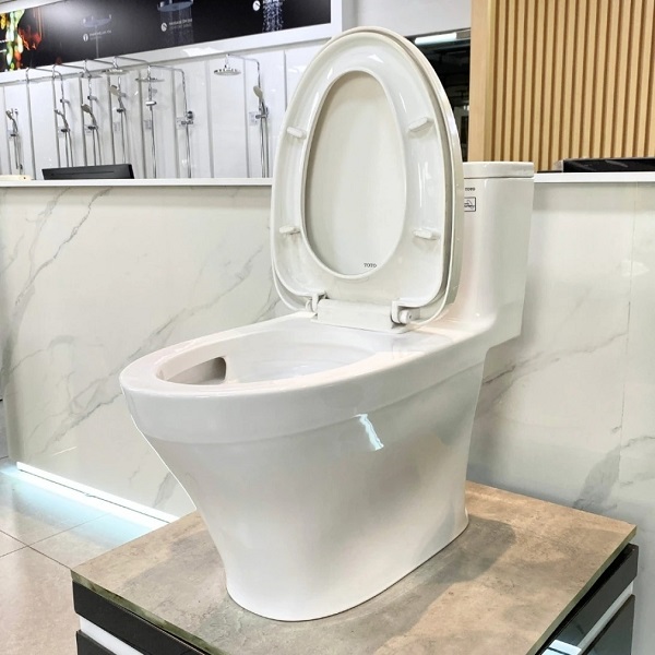 Bồn cầu 1 khối TOTO MS857DT8 nắp êm TC600VS - Ảnh 10