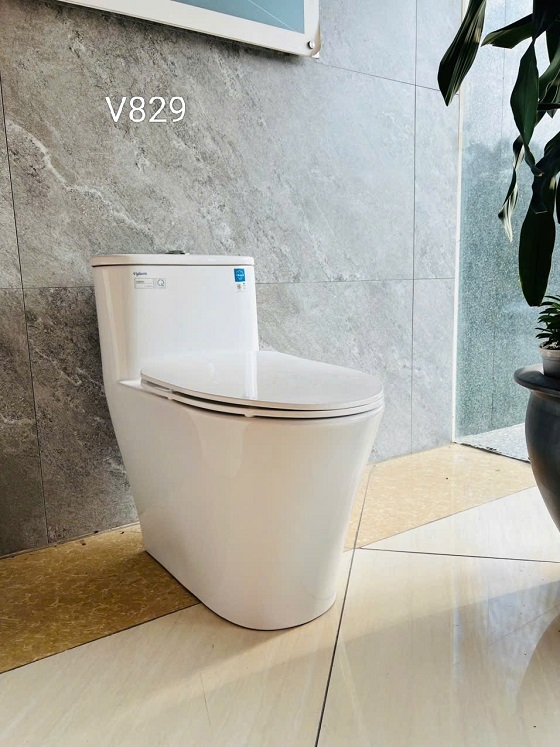 Bồn cầu 1 khối Viglacera V829 - Ảnh 9