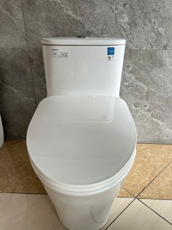 Bồn cầu 1 khối Viglacera V829 - Ảnh 11