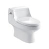 Bồn cầu 1 khối MOEN SW3154C1