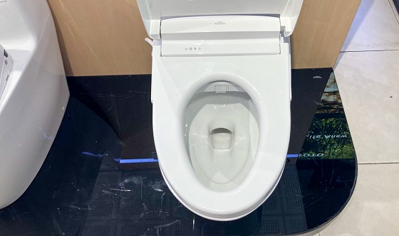 Bàn cầu 1 khối kèm nắp rửa điện tử WASHLET dòng S5 TOTO MS887CRW25 - Ảnh 7